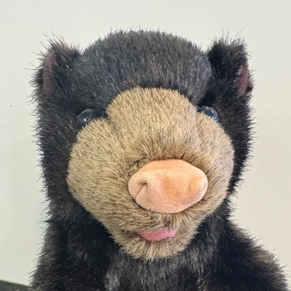 Baby Black Bear Hand Puppet by Folkmanis Puppets. Size 9” - Picture 3 of 12